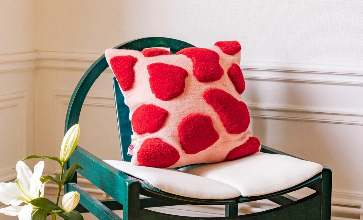 acheter coussin motif colore