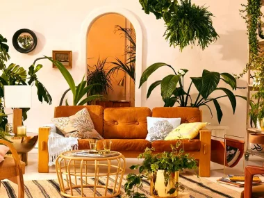 deco plantes