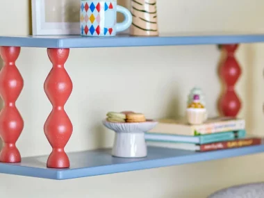 Étagère murale colorée fixée au mur, décorée de plantes et d'objets décoratifs