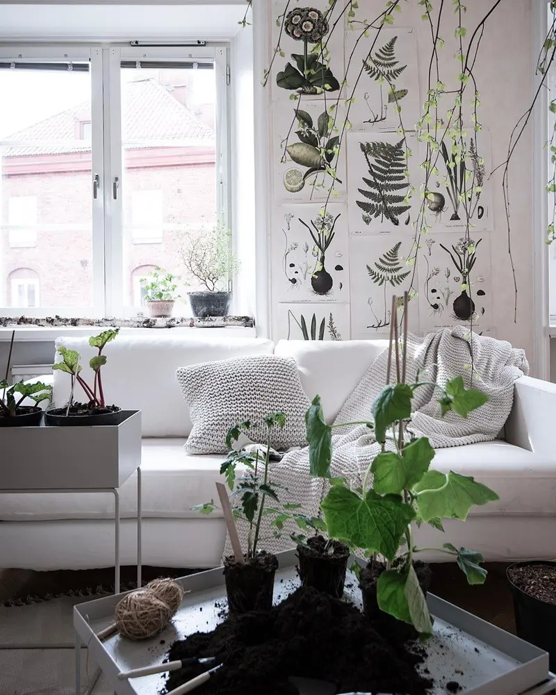 deco salon nature botanique