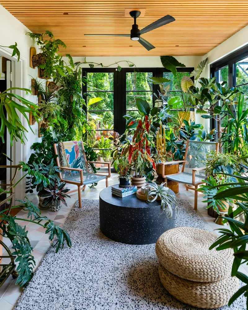 deco appartement tropical recup salon