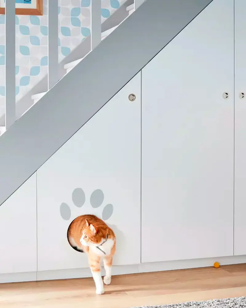 espace animal sous escalier