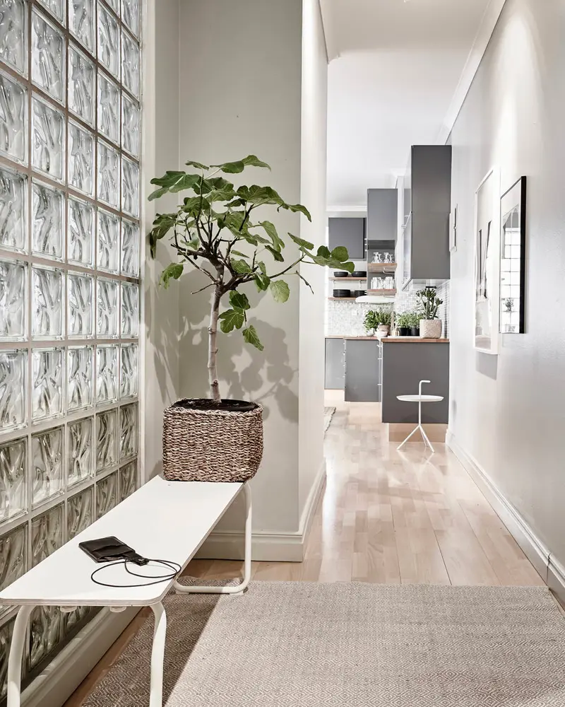 deco appartement nature vert kaki entree
