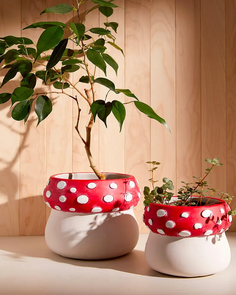 pot fleur champignon