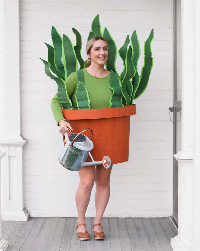 déguisement halloween adulte pot plante diy
