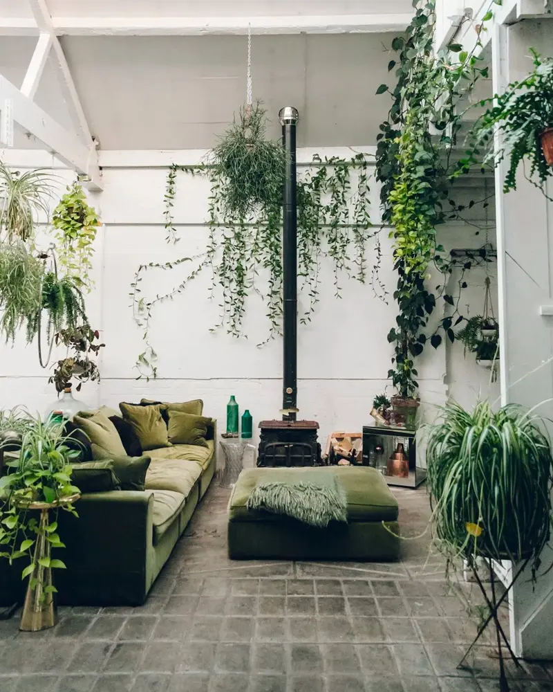 plantes deco salon nature