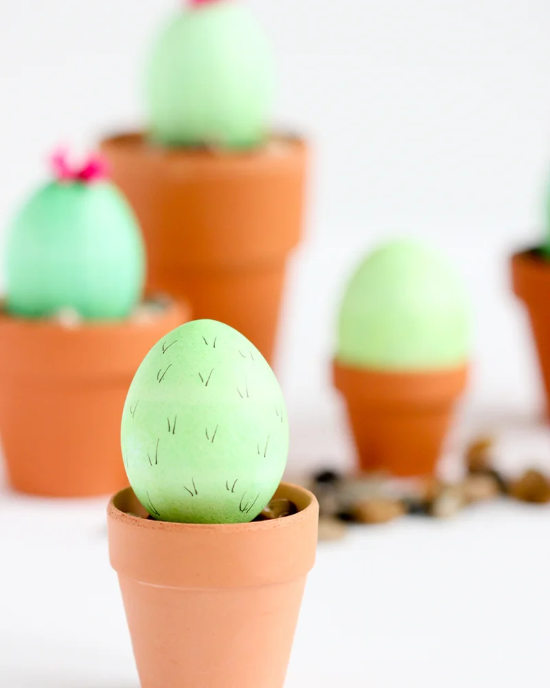 oeuf paques diy cactus feutre