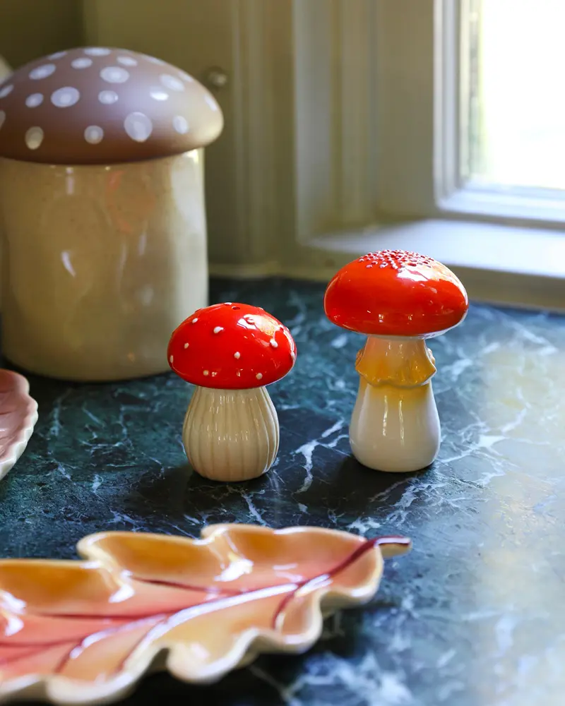 salière poivriere champignon