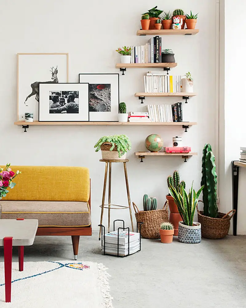 deco plante sol