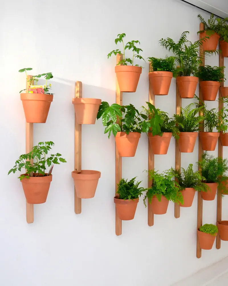 support mural plante bois