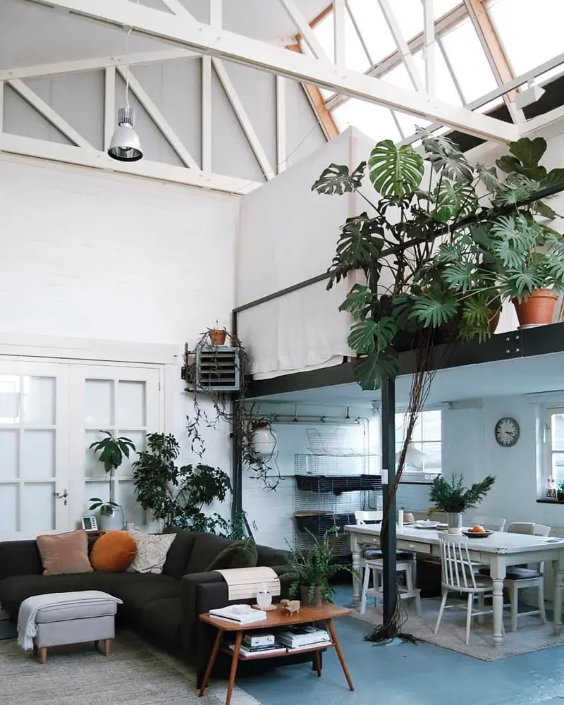 deco loft tropical