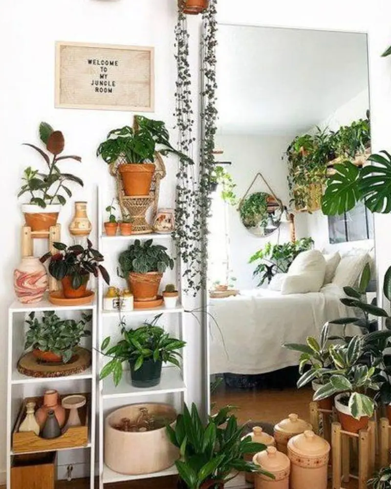 plantes deco chambre