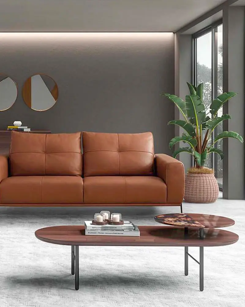 deco salon moderne minimaliste cuir