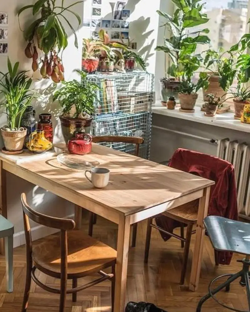deco salle a manger vintage plantes