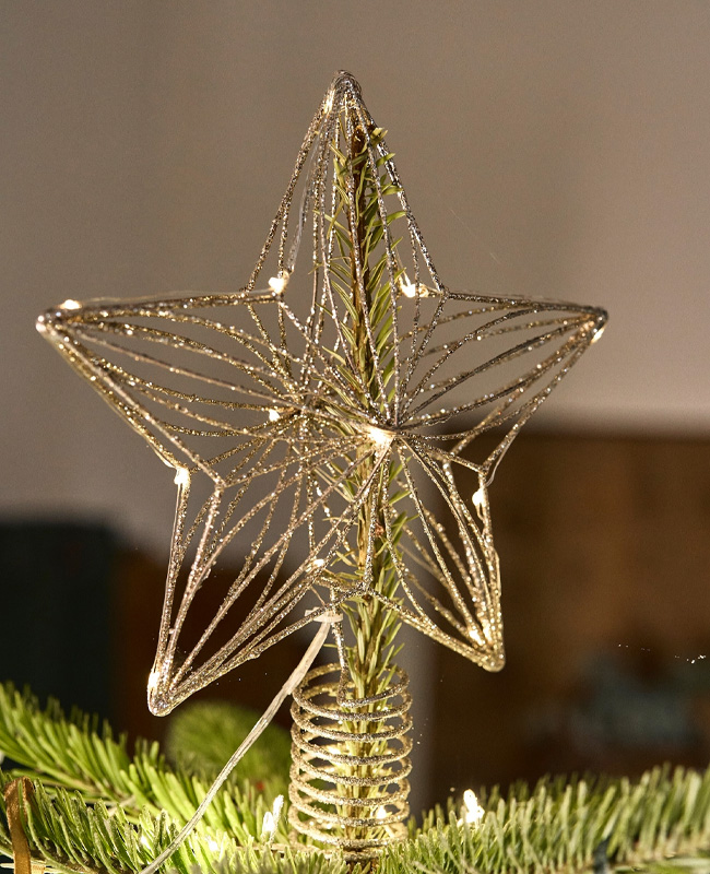 cimier étoile noel