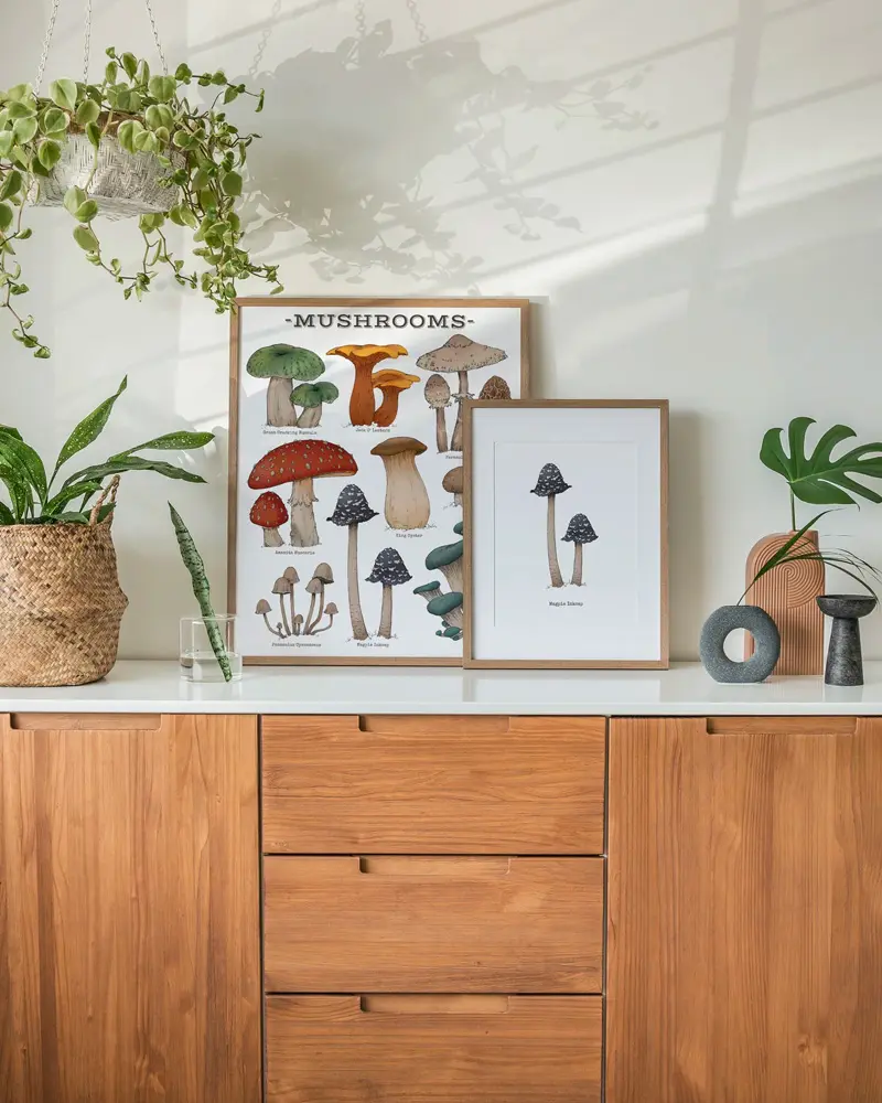 deco salle a manger affiches champignons