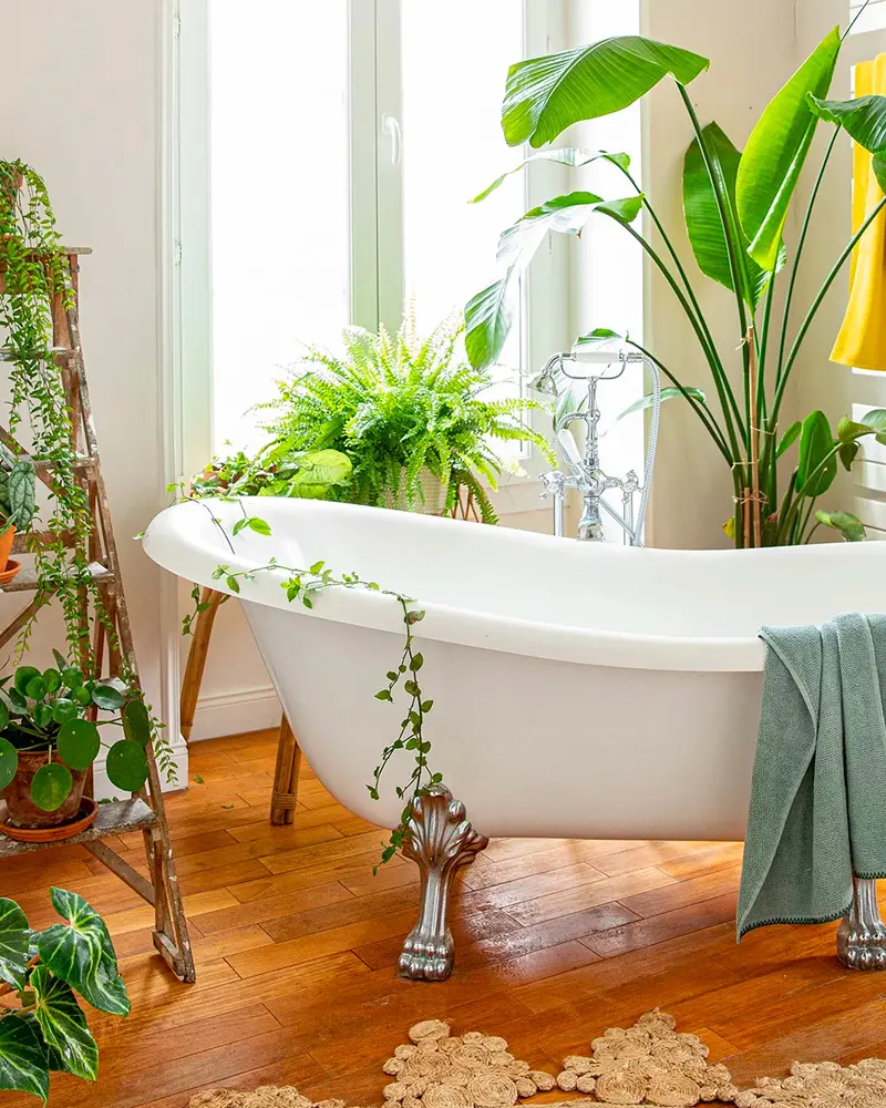 deco salle de bain plantes