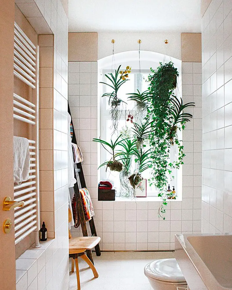 deco fenêtre salle de bain plantes