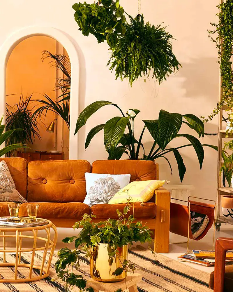 deco salon plantes