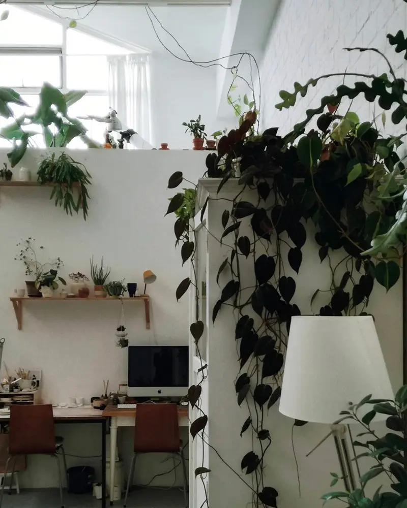 deco loft tropical bureau