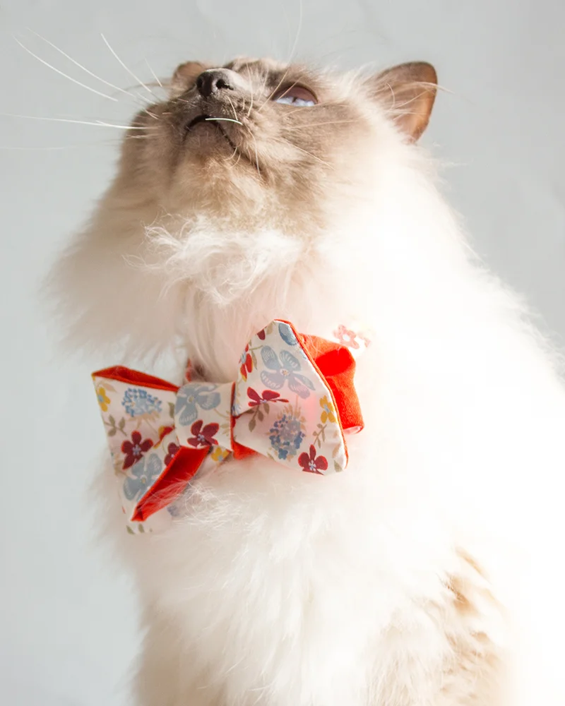 noeud papillon double motif diy