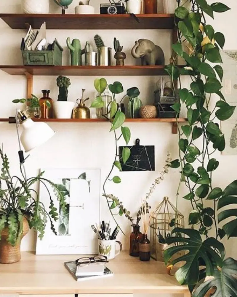 plantes murales deco bureau