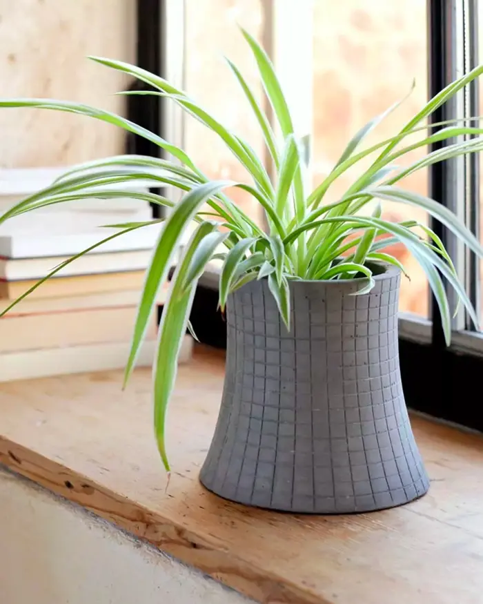 cache pot beton