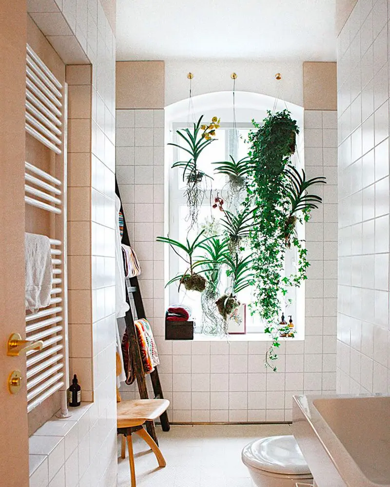 plantes deco petite salle de bain