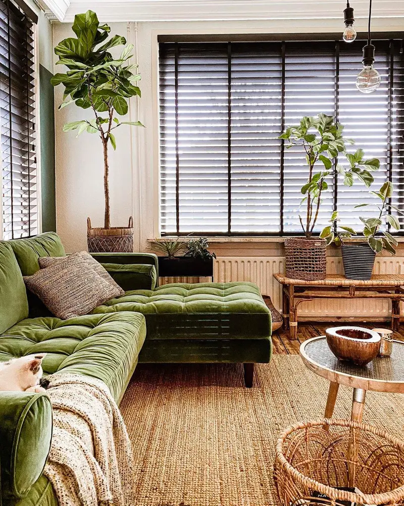 canape velours vert deco salon nature