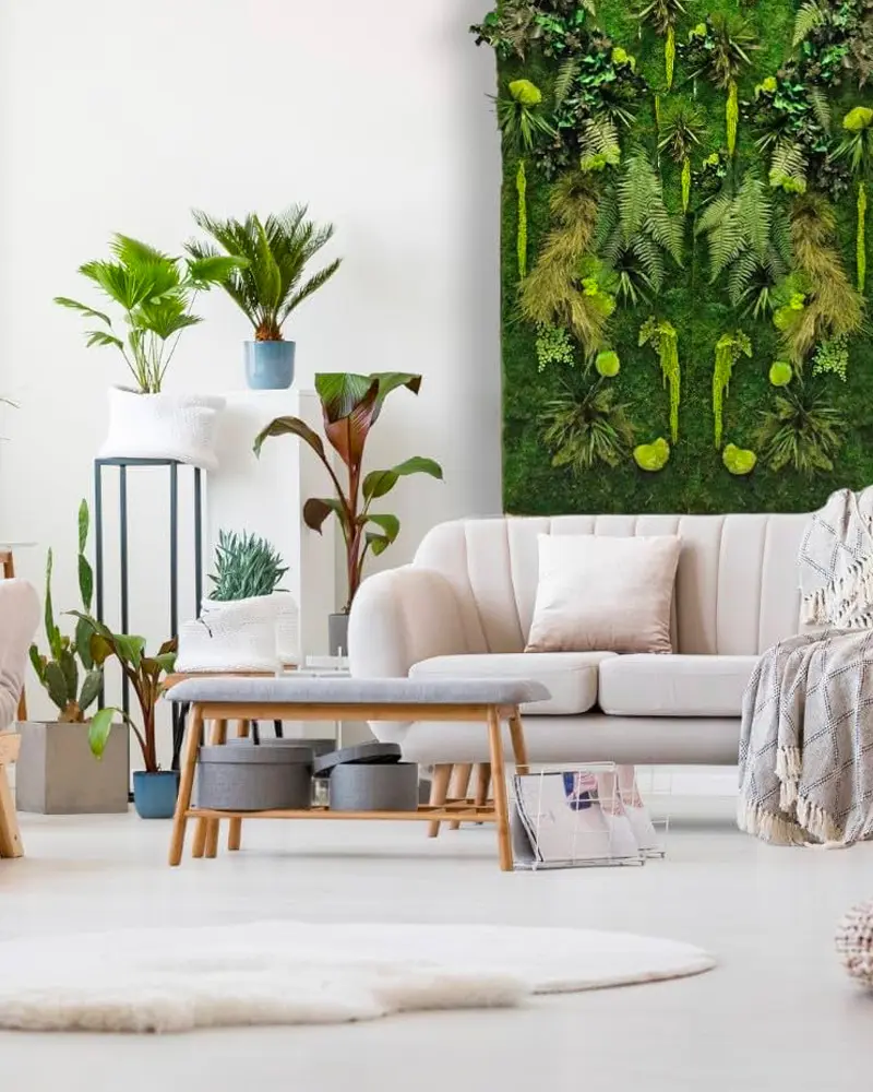 deco murale plante
