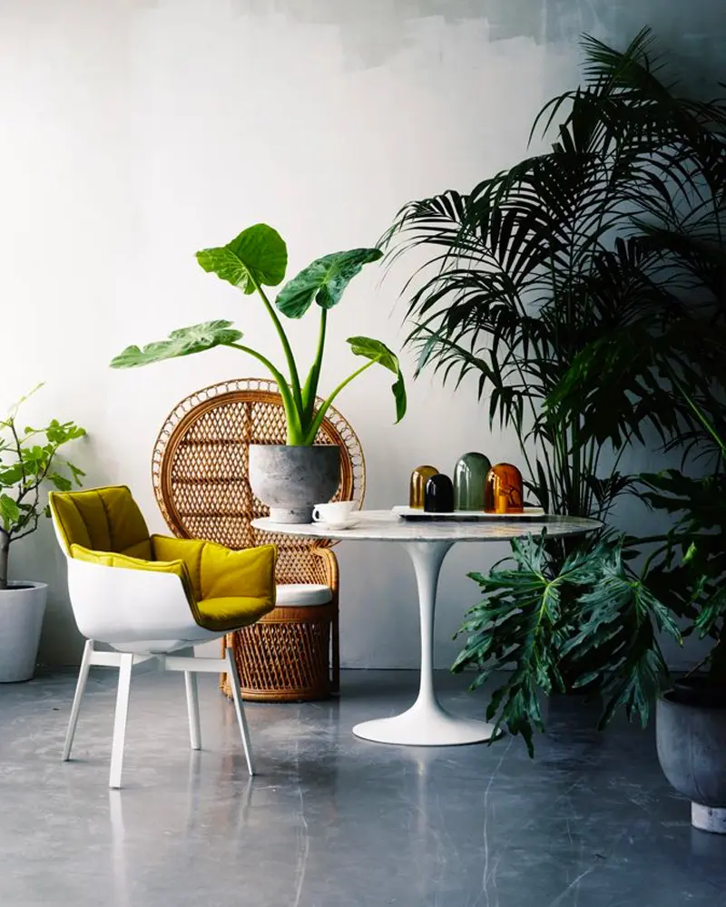 deco salle a manger minimaliste tropicale