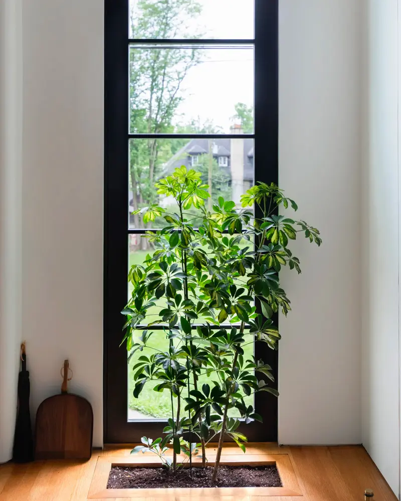 deco appartement tropical recup