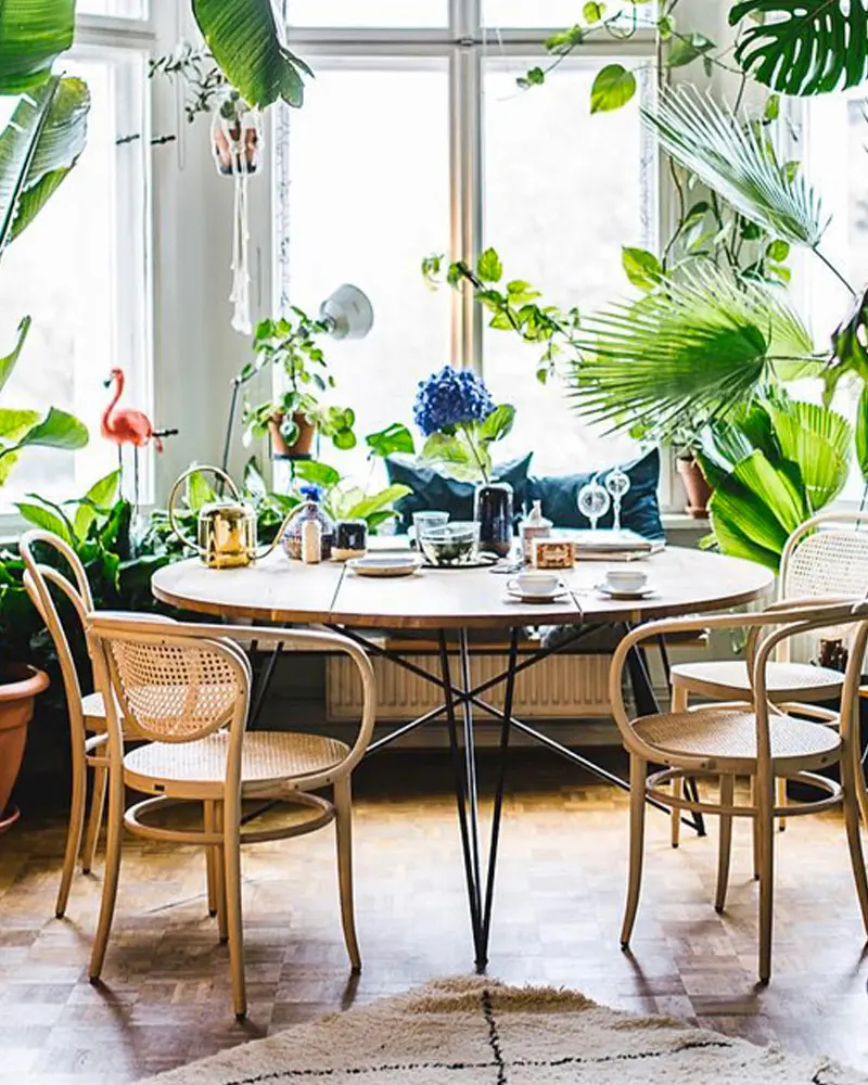 deco salle a manger plantes tropicales