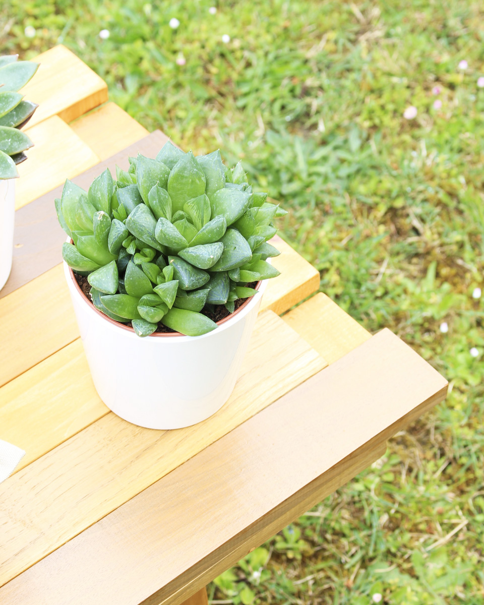 banc jardin palette diy